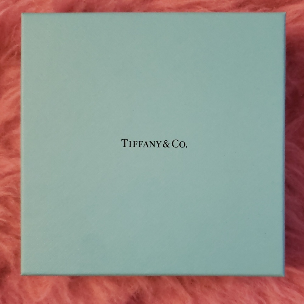 Tiffany and Co. Elsa Peretti Leather Pouch NWOT